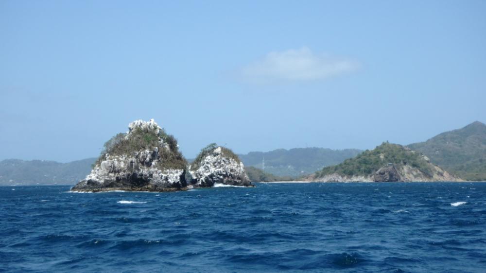 Sister Rocks, Cariacou: La blancheur des rochers par le guano tranche avec le vert des îles avoisinantes